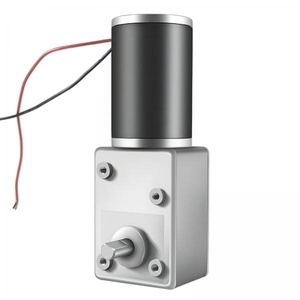 5882-50ZY D10 20MM Worm Gear DC Motor 12-24V High Torque Industrial Grade