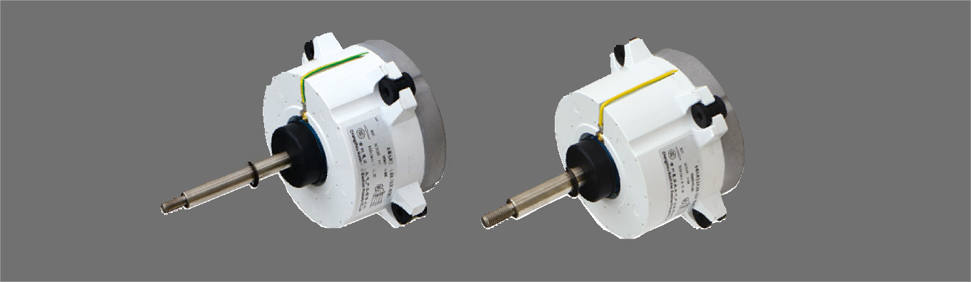MWS Series DC Brushless Motor (F Series)1