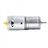 DC Gear Motor JGA25-365 (Spur Gear) - Precision Electric Gearmotor for Automation