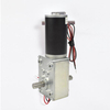 5840-31ZY D8 15MM Worm Gear DC Motor 12V/24V High Torque Industrial Grade/Dual Axis