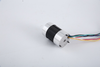 36 Series BLDC Motor - Y-Connection 120&deg; Hall Angle for Industrial Automation
