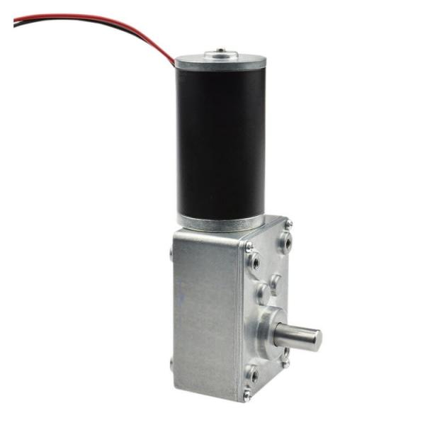 5840-31ZY D8 15MM Worm Gear DC Motor 12V/24V High Torque Industrial Grade
