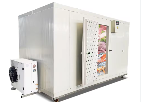 Household Freezer Cooling System